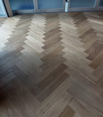 506017627_18523265341052189_6279273240586674943_n